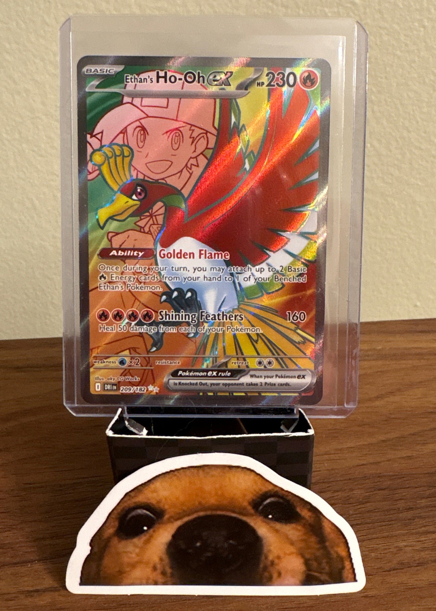 Ethan’s Ho-Oh ex - Destined Rivals #209/182 - Pokemon (English)