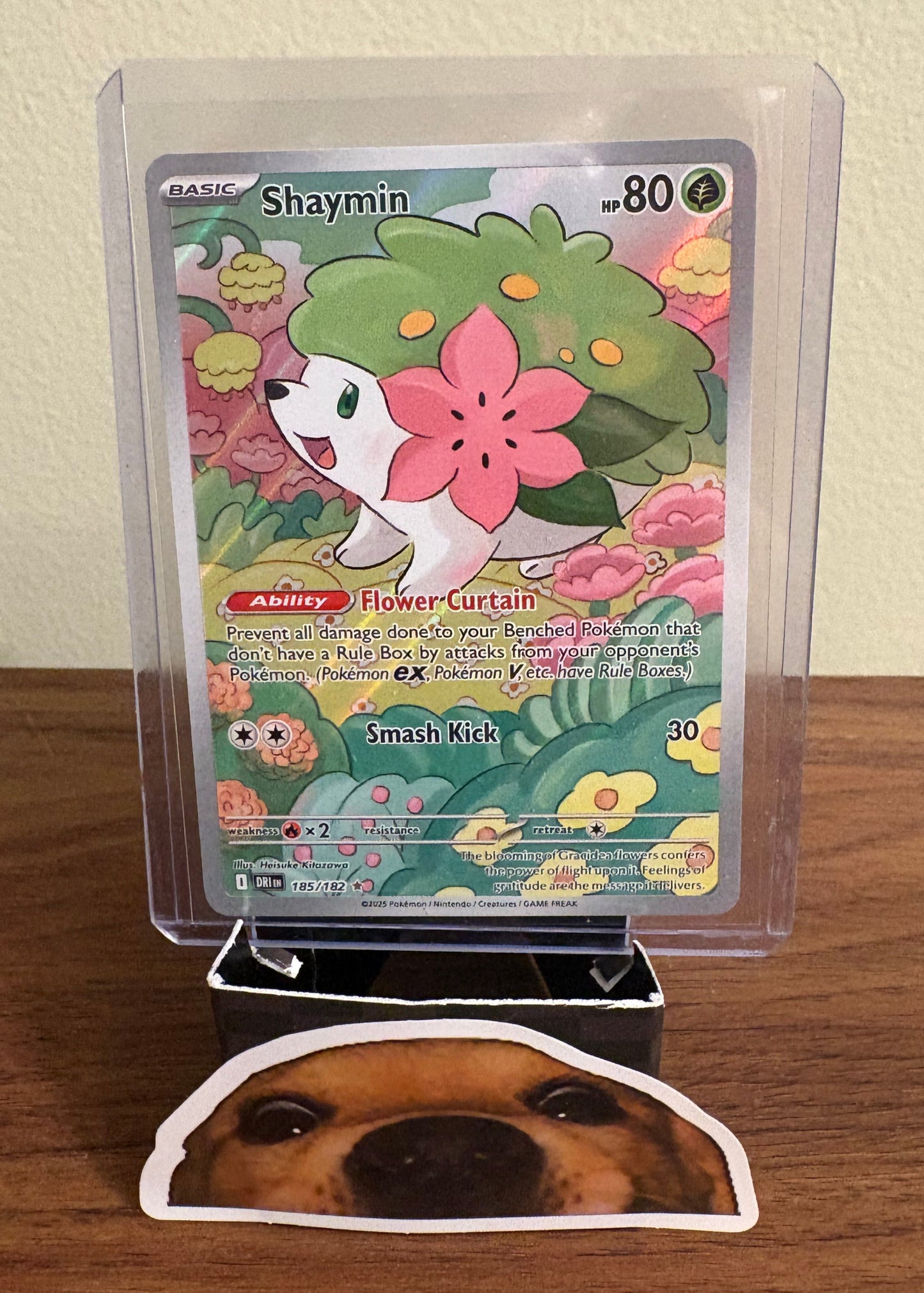 [ILLUSTRATION RARE] Shaymin - Destined Rivals #185/182 - Pokemon (English)