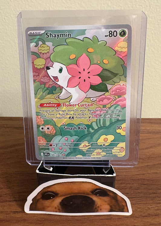 [ILLUSTRATION RARE] Shaymin - Destined Rivals #185/182 - Pokemon (English)