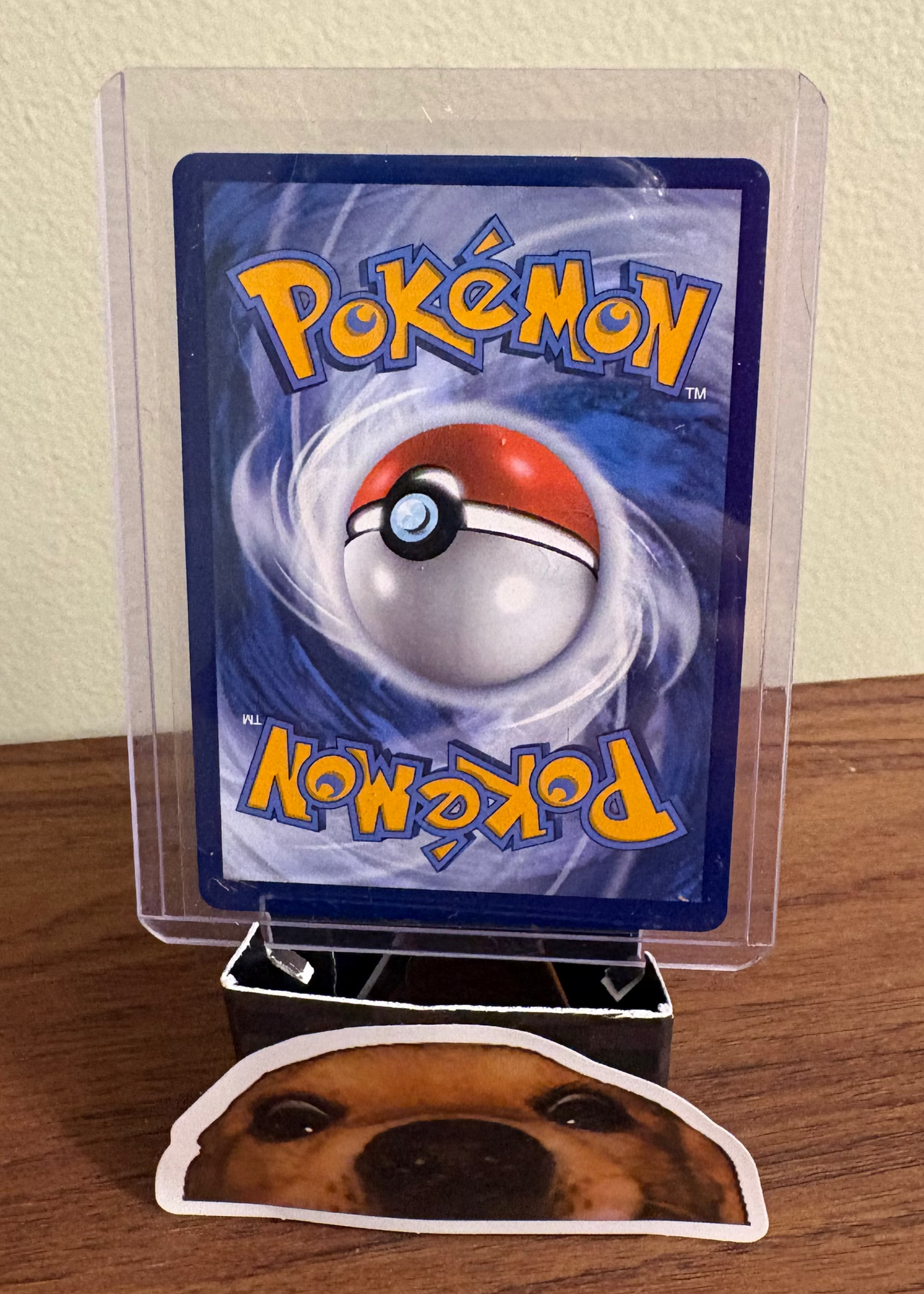 [FULL ART] Cetitan ex - Destined Rivals #210/182 - Pokemon (English)